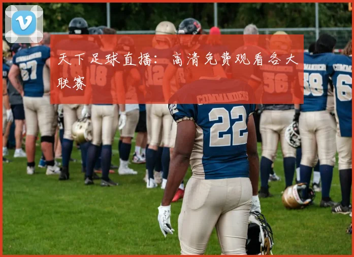 天下足球直播:高清免费观看各大联赛