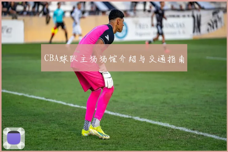 CBA球队主场场馆介绍与交通指南